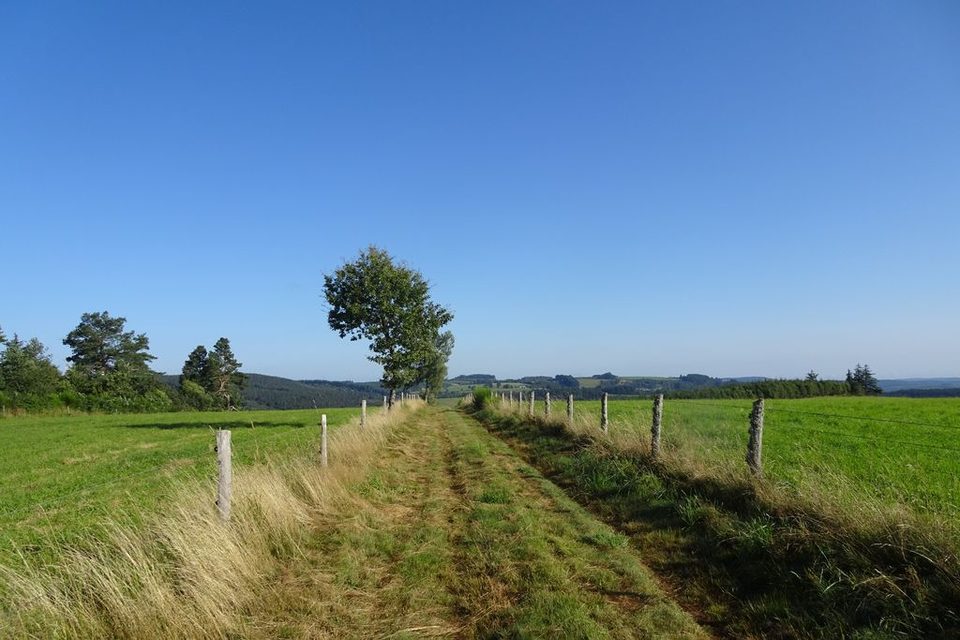 DSC02712_1