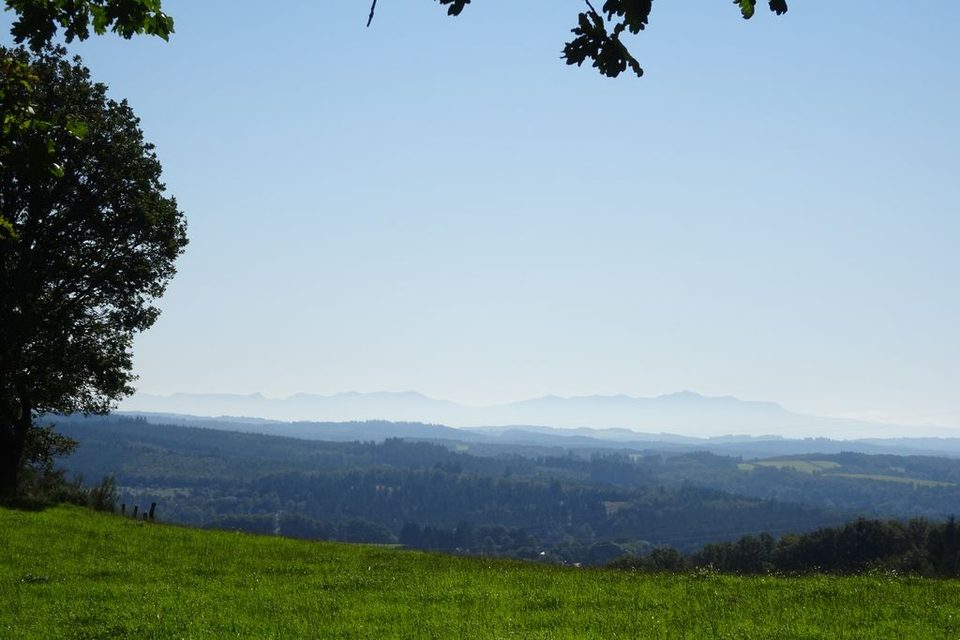 DSC02742_1