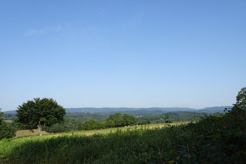 DSC02405_1