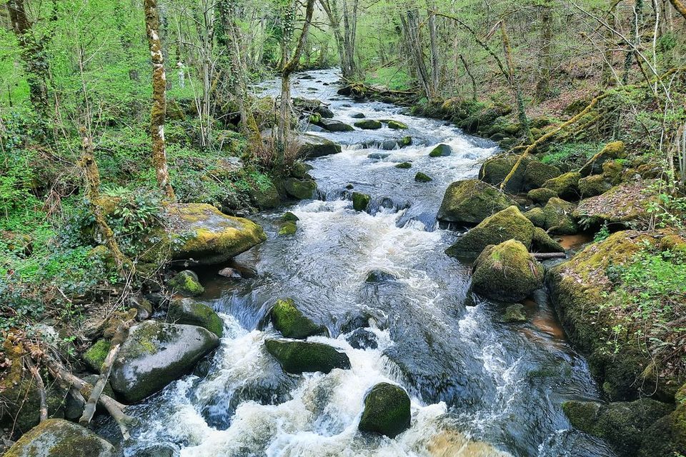 Au fil de l'eau