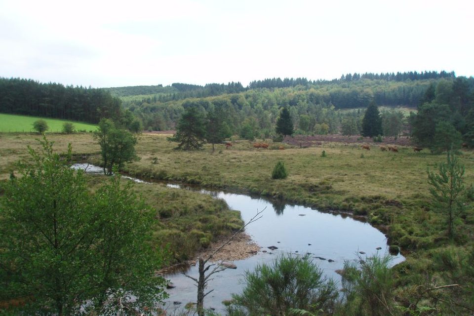 Au cœur du Plateau et des Ruines des Cars