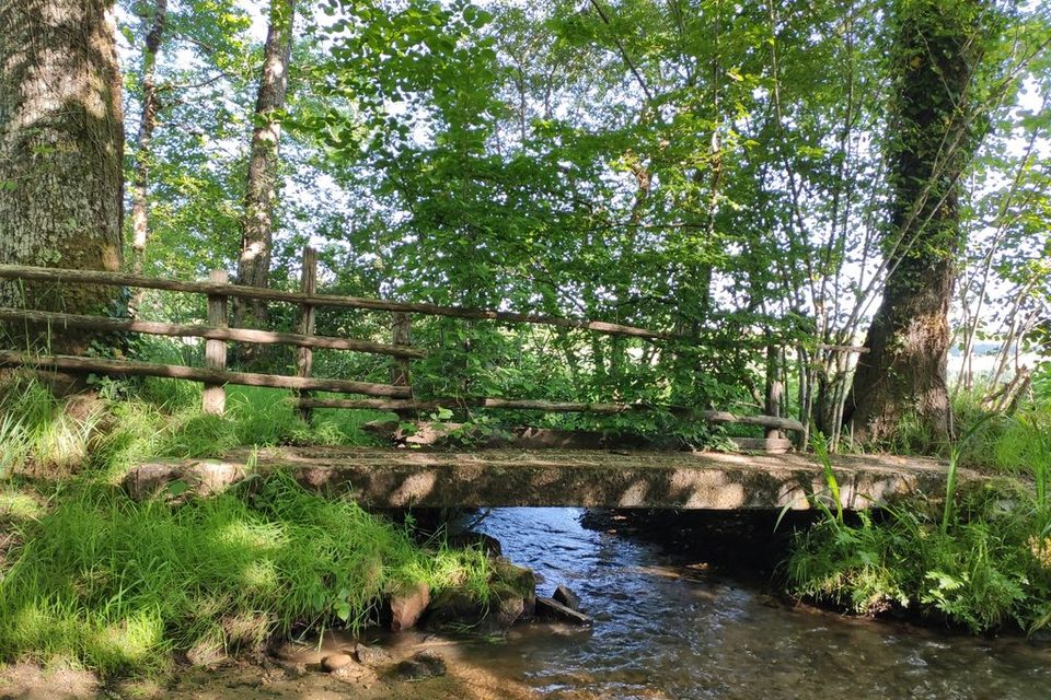 Pout sur le ruisseau(c) Pays Monts et Barrages-Aurélien Clavreul_1