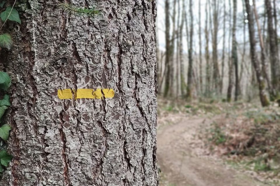 Balisage sur le circuit de la Boucle du seigneur