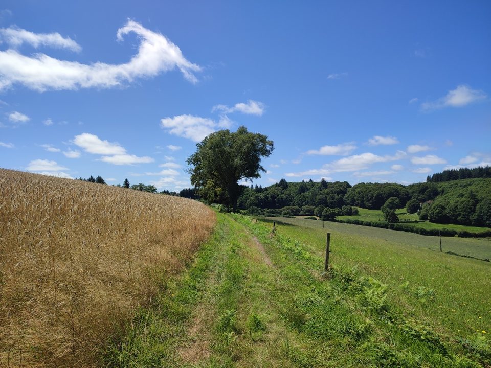 Circuit VTT n°6 Autour des monts d’Auriat