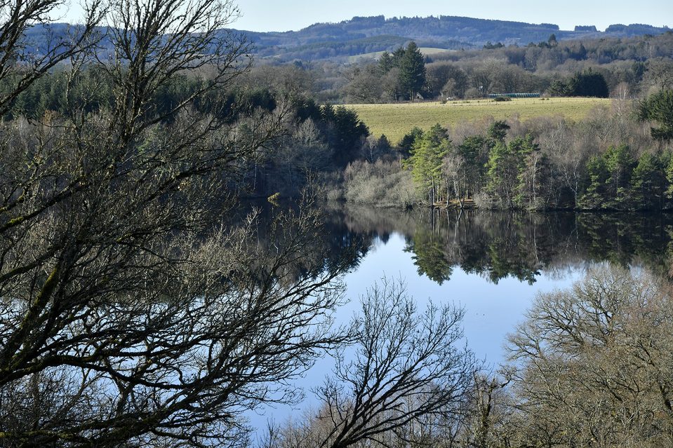 Peyrelevade_Lac du Chammet_©JDamase (5)