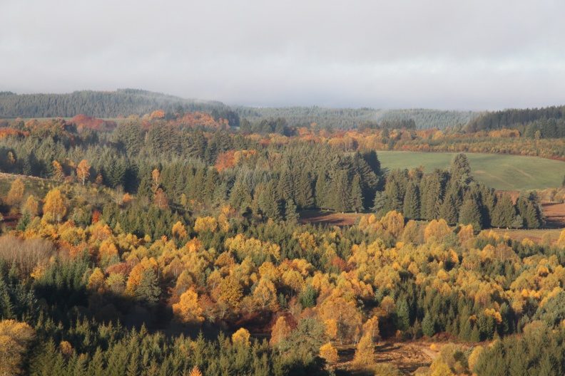 Au coeur de Millevaches