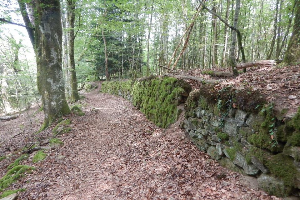 Circuit VTT n°23 : Le tour de Saint-Merd-de-Lapleau