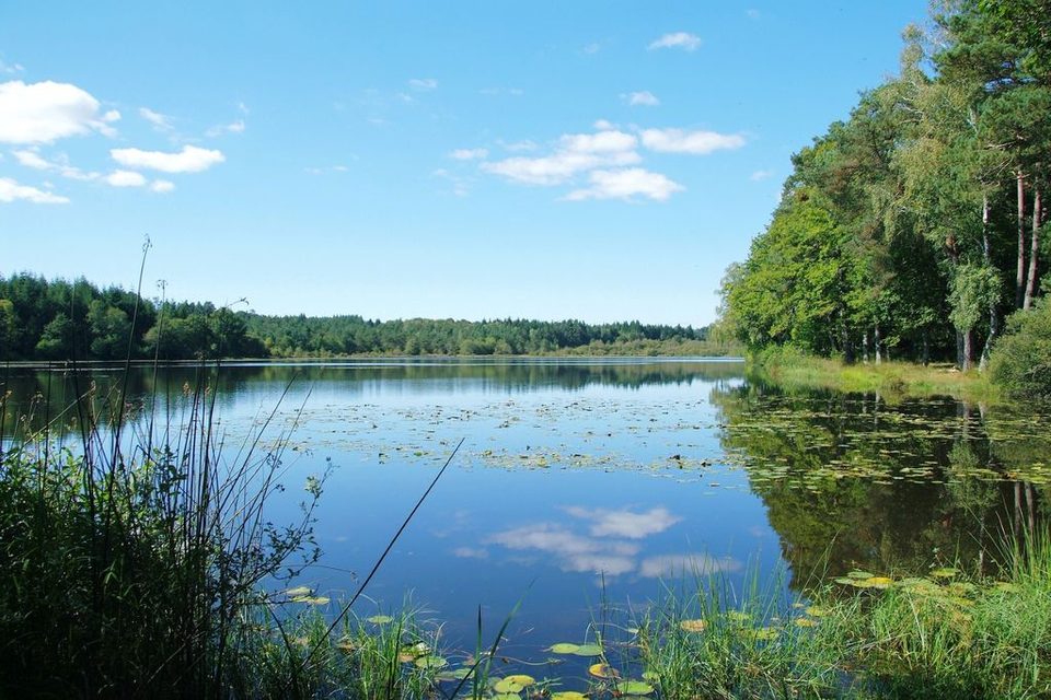 Circuit VTT n°27 : Au bord des Etangs