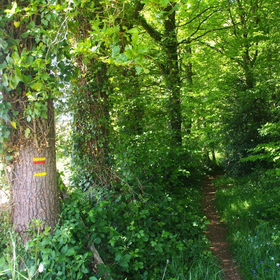 Bord de Maulde à Bujaleuf