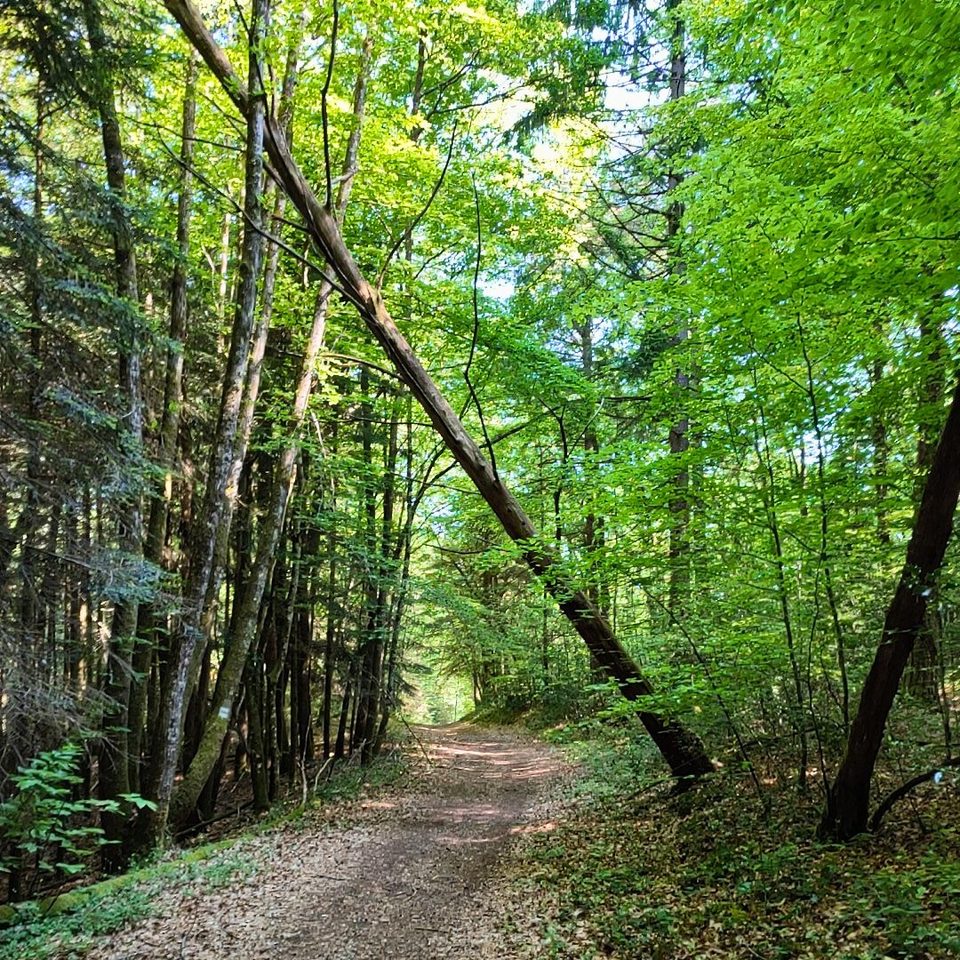 Chemin des Varaches