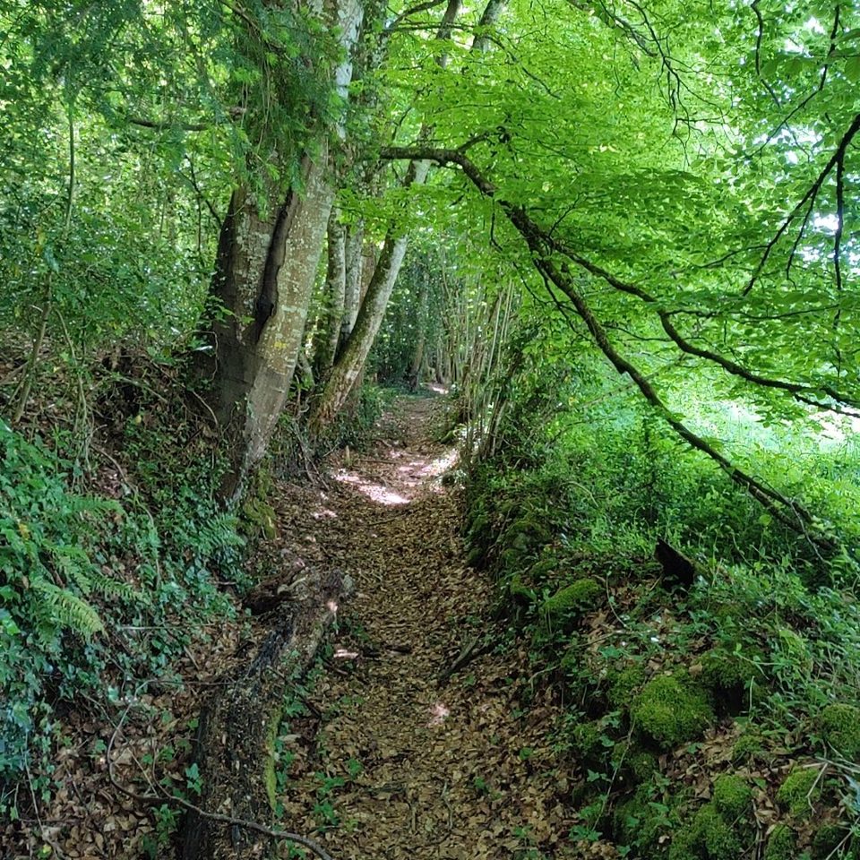 Chemin de Larron