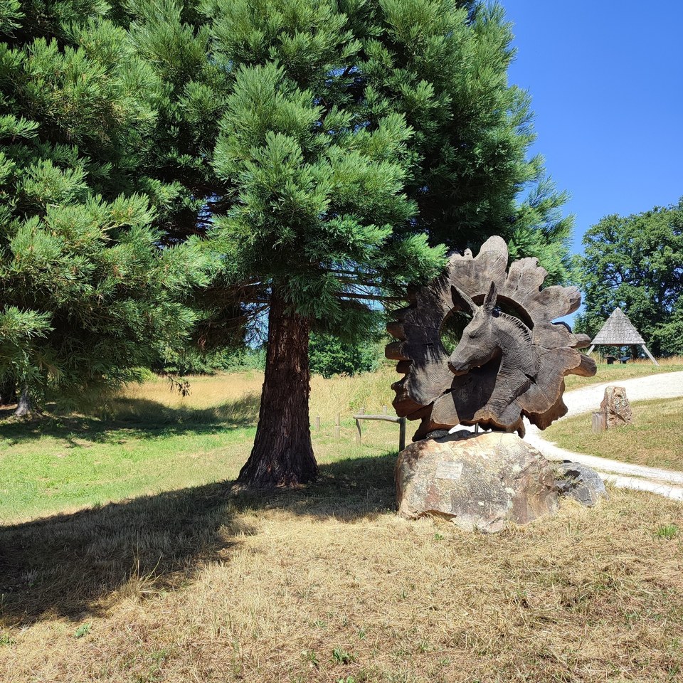 Sculpture en séquoia - Francis Cuny