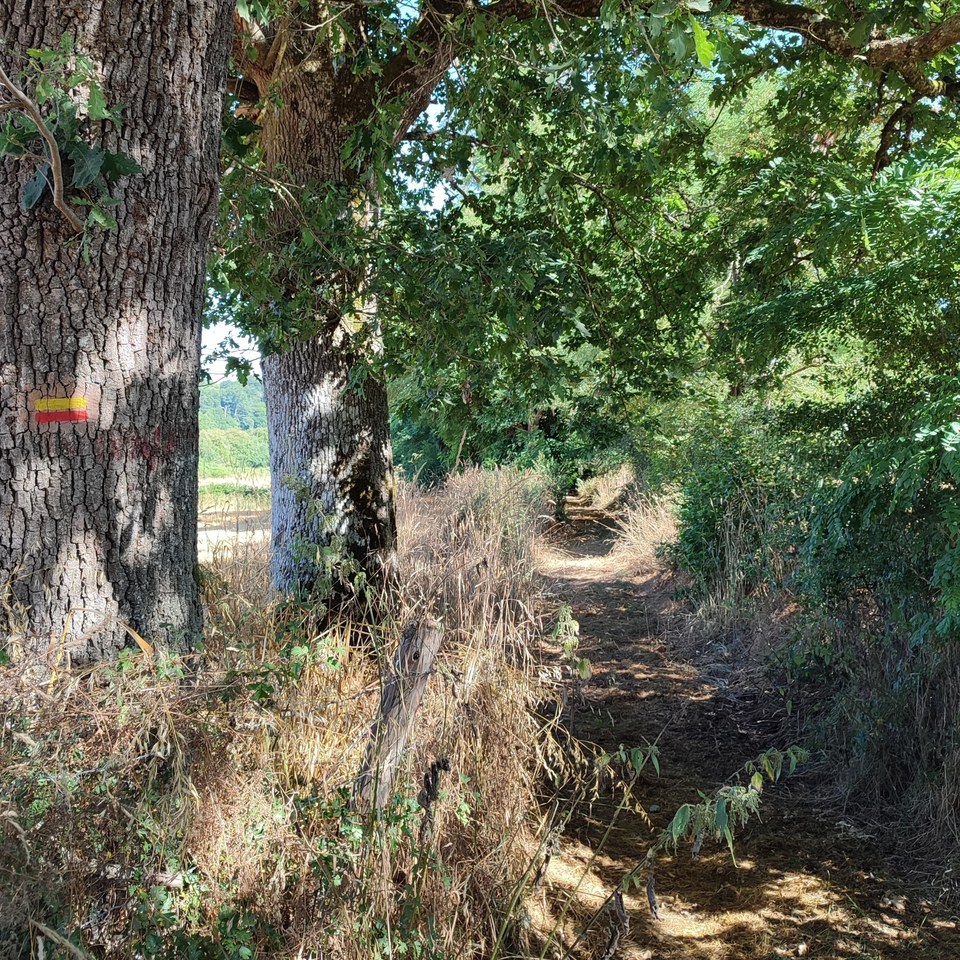 Chemin de la Chaucherie à Plantadas