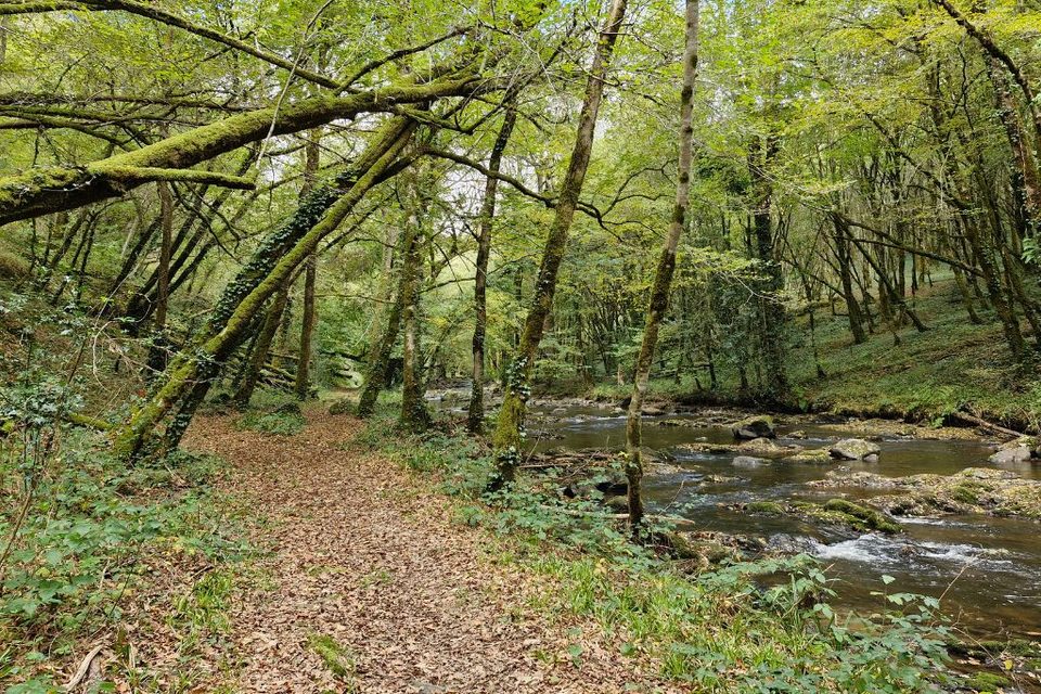 Chemin des vitraux