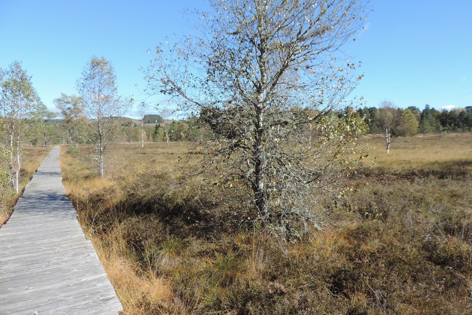 Chemin de découverte de la Tourbière de Négarioux - Malsagne