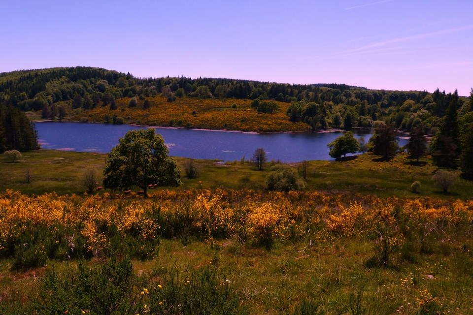 Etang des Oussines