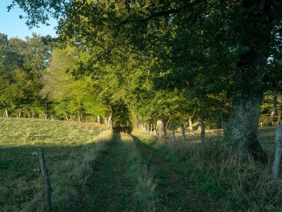 Circuit VTT n°5 : Entre Vézère et Bradascou
