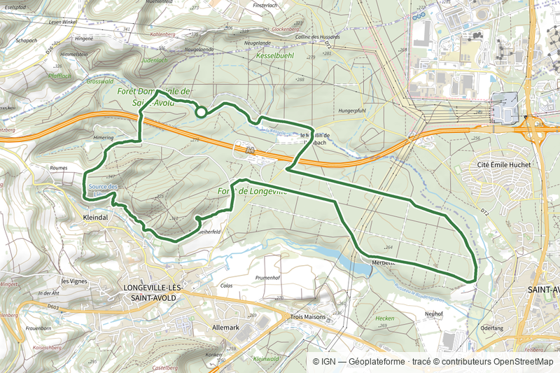 Circuit Forêt du Warndt