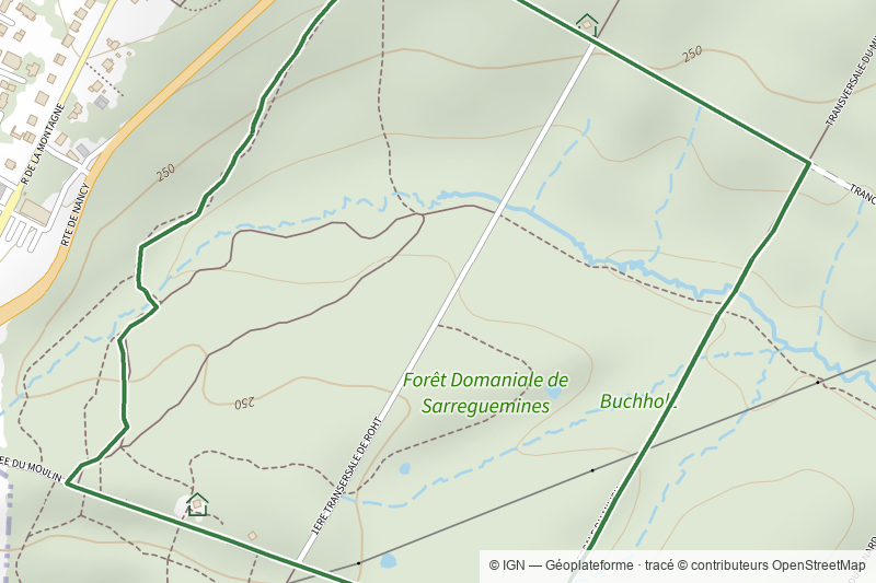 Circuit Buchholz
