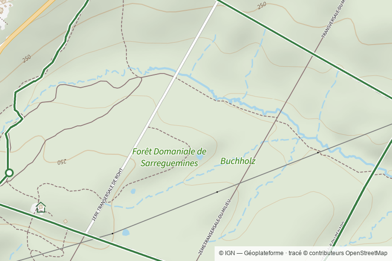 Circuit Buchholz