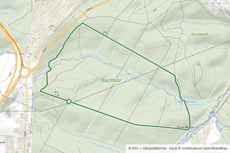 Circuit Buchholz