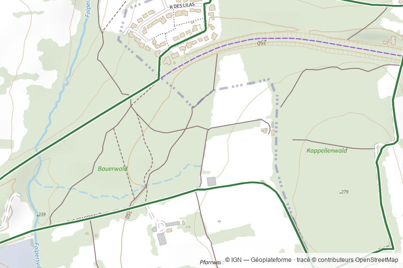 Forêt de Blies-Ebersing