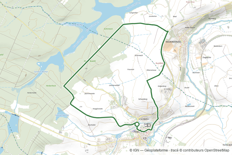 Circulaire du Gros chêne de Fénétrange