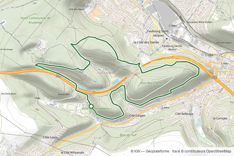 Circuit du bois des chênes