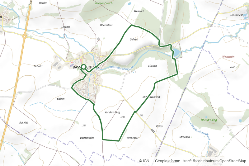 Marche Panoramique