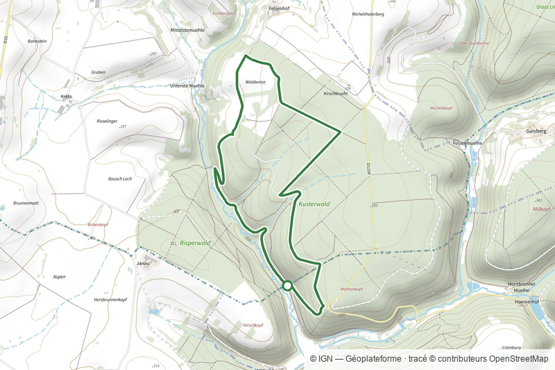 Big Bining Oak circular hike