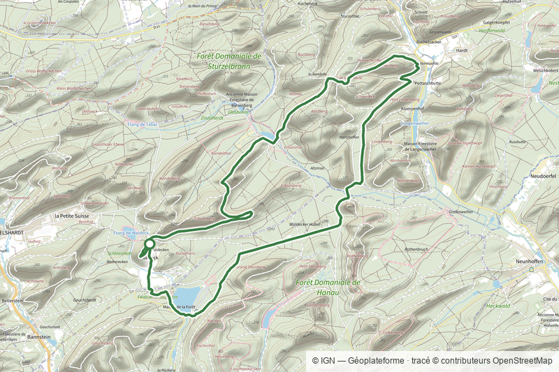 Grand circuit de l'étang de Hanau