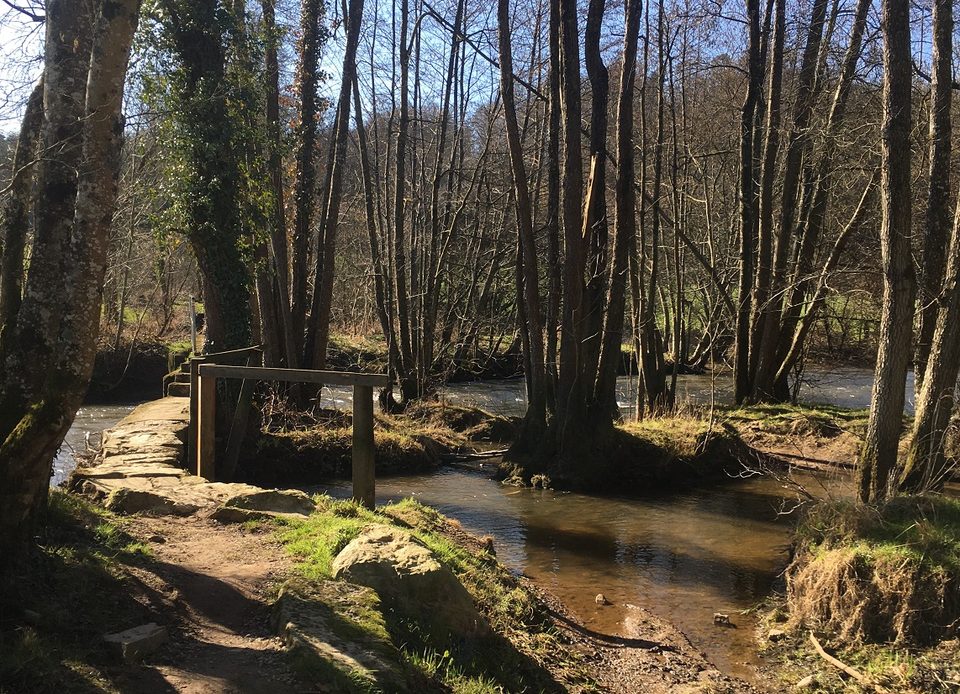 Bocage domfrontais, dans l'Orne