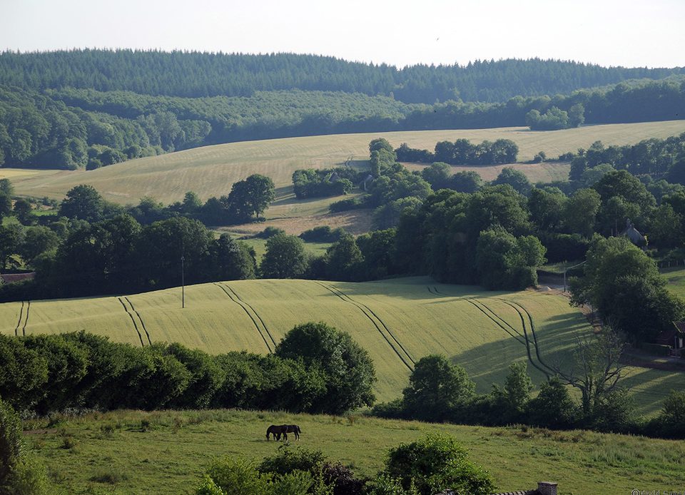 Le Tour des Collines du Perche à pied