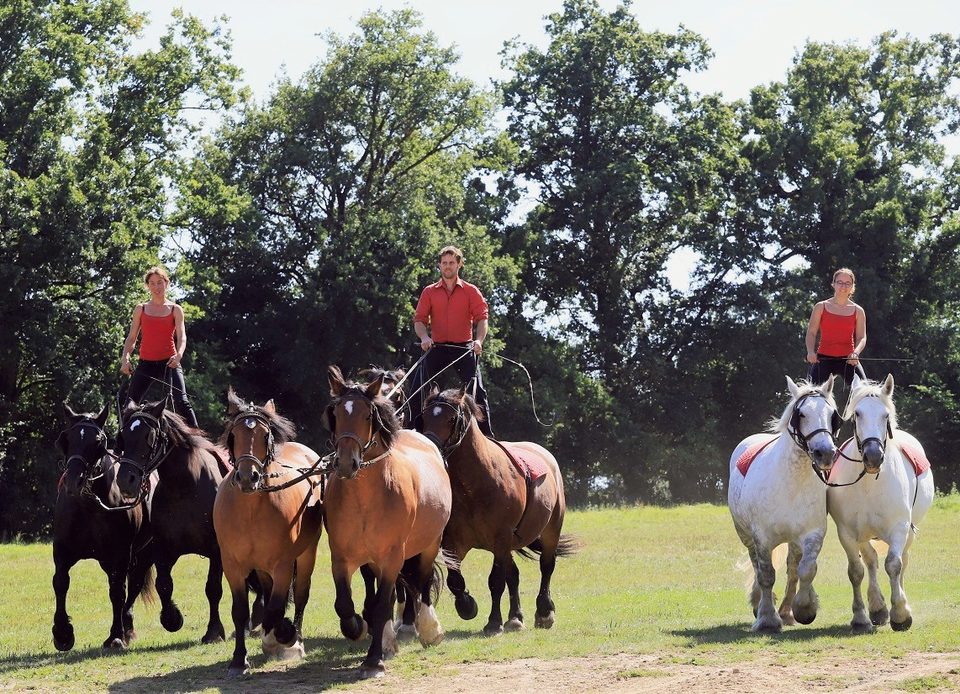 La Michaudière, Ferme du Cheval de Trait, Orne
