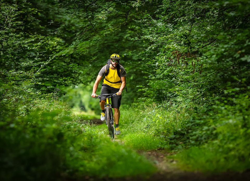 A VTT Au bord de la Visance en Pays de Flers