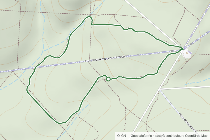 Sentier découverte "La gestion forestière"