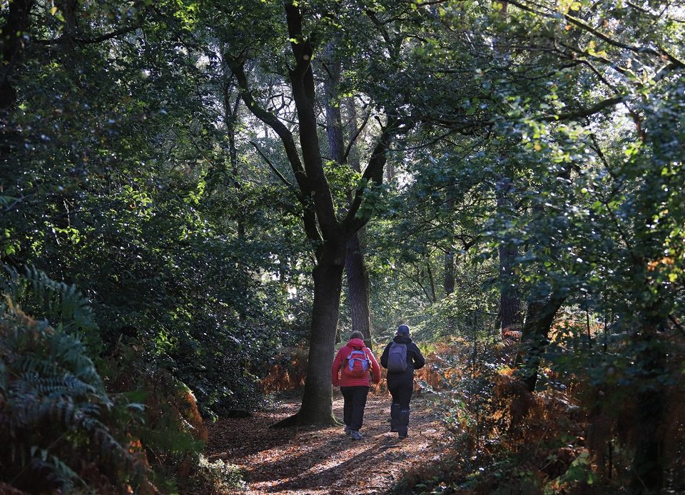 Les Gorges de Villiers, dans l'Orne