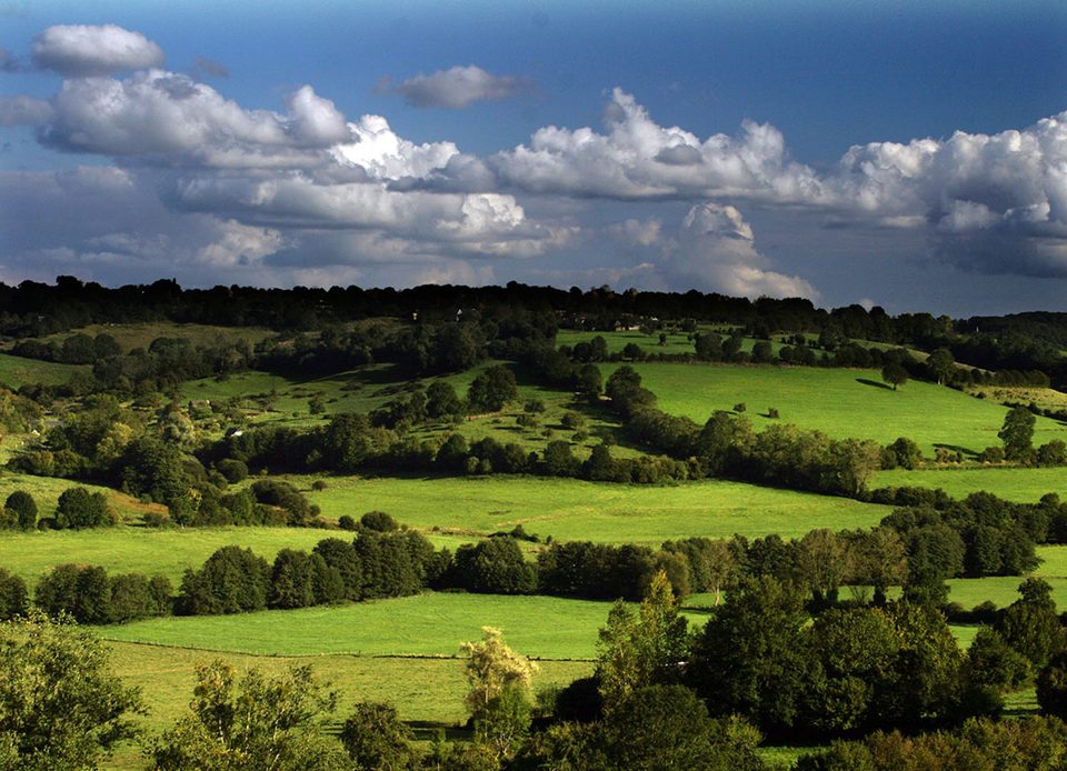 Paysage du pays d'Auge