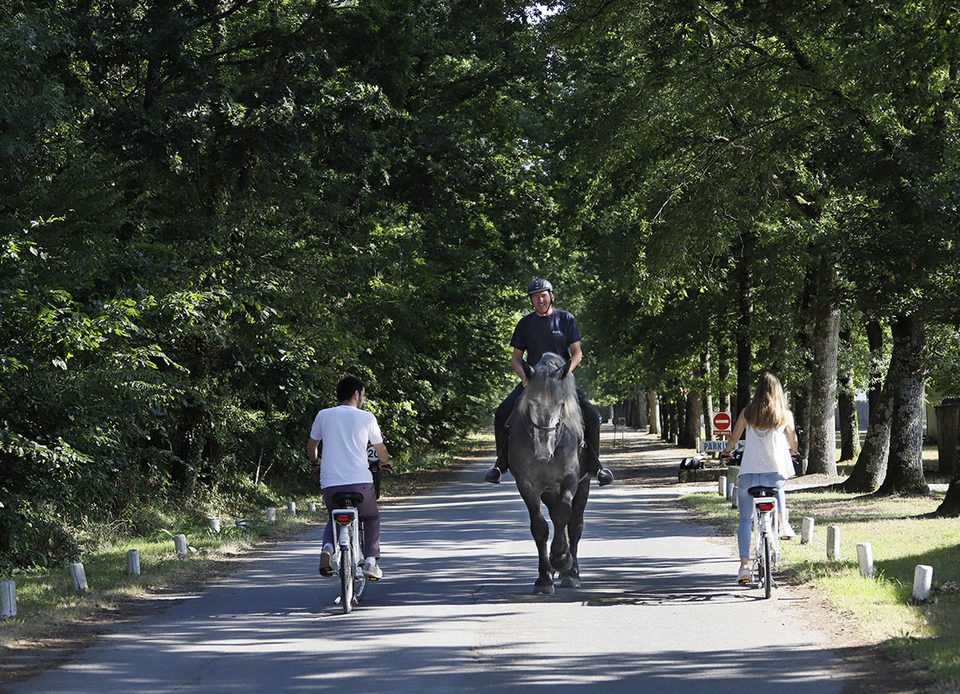 Haras du Pin - Chambois à vélo