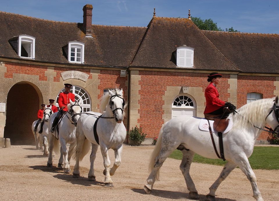 Haras national du Pin à vélo
