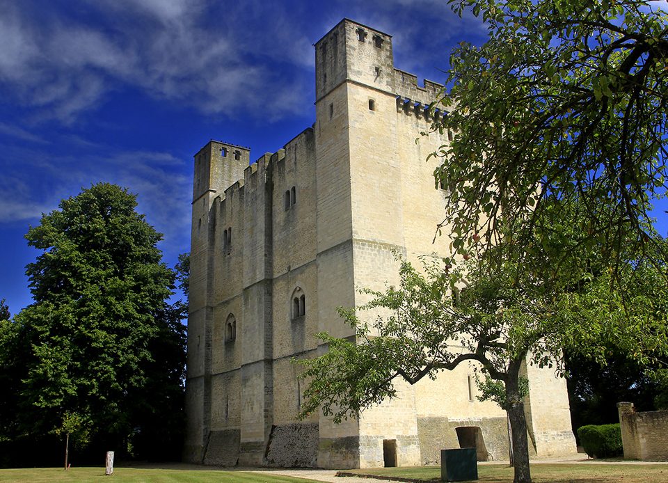 Donjon de Chambois