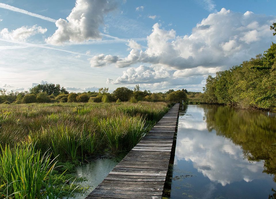 Boucle du Marais du Grand-Hazé, Briouze