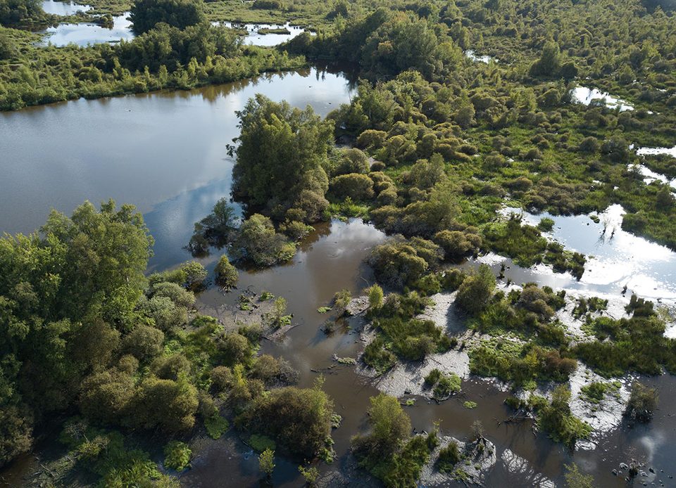 Vue aérienne du Marais