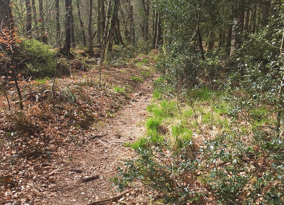 02 Ermitage - Station de Trail® Bagnoles Normandie