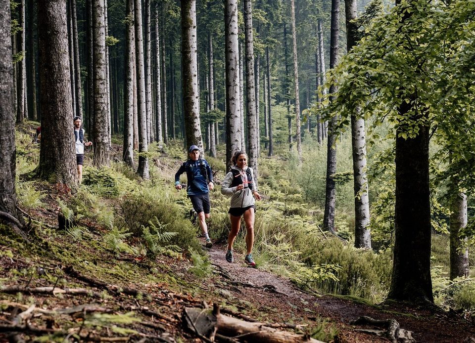 03 Le Verdier d'Ecouves - Station de Trail® Massif d'Ecouves
