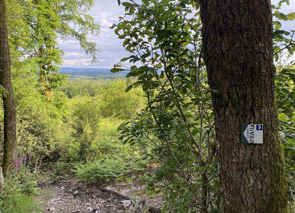 Point de vue sur le parcours de trail n°3 en forêt d'Ecouves
