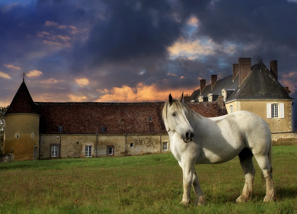 Château de l'Hermitière dans le Perche