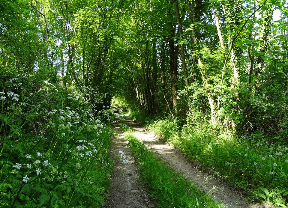Les Jauneaux, Pays Mêlois - randonnée à pied