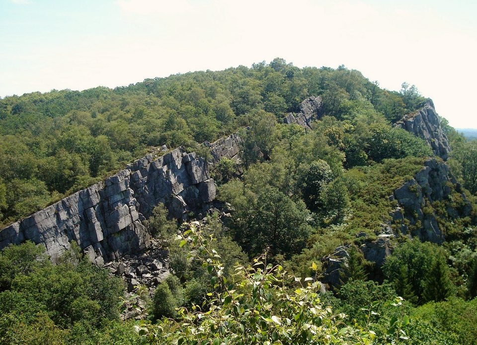 La Fosse Arthour : entre Terres et Marais