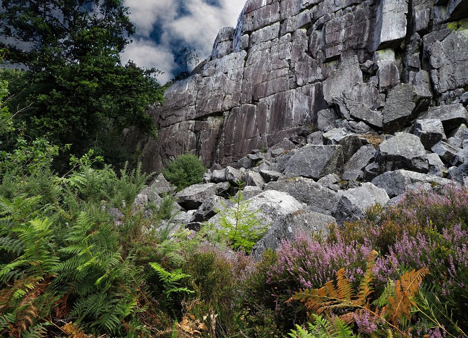 La Fosse Arthour, Espace Naturel Sensible de l'Orne